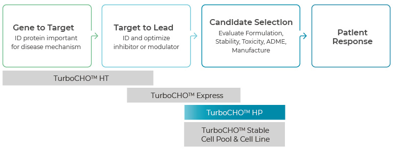 TurboCHO™ express platform workflow
