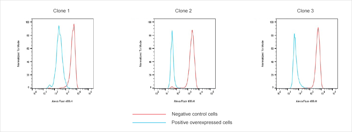Serum titer after hPTX-LNP immunization