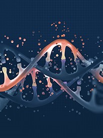 GenCRISPR Gene Editing Solutions