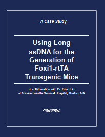 Case_Study_CRISPR_ssDNA_in_Transgenic_Mice_Generation