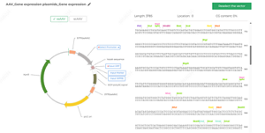 GenScript GenSmart™ Design | Simplify Your Plasmid Design Work