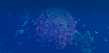Antibody Development Services