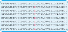 Site-Directed Mutagenesis Libraries